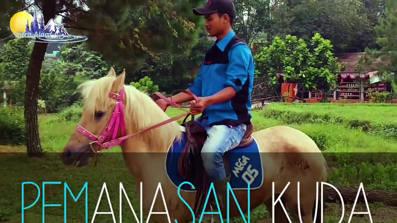 Berkuda di Puncak Bogor