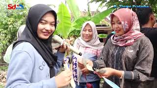 Download Lagu BUNGA SEDAP MALAM PERSI SINGA DANGDUT X- TREME PRATAMA MP3