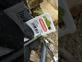 tutorial mengikir rantai chainsaw dengan benar.