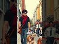 Are Bad Dogs Really Just Bad Owners? dog behavior in public places bad dog owners vs good owners dog