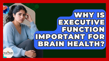 Why Is Executive Function Important For Brain Health? - Brain Health Support Network