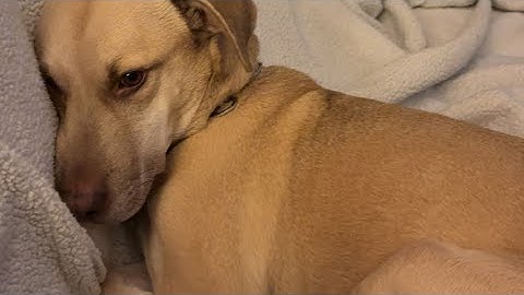 Find the button part 3 #roblox