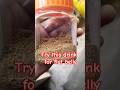 Try this drink for a flat belly #bellyfatloss #shorts #weightlossdrink #weightloss #homeremedies
