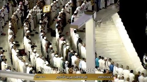 سورة النمل الآيات ٥٩-٧٥ | الشيخ بندر بليلة | 5-6-1437