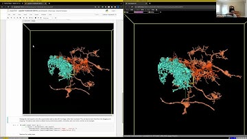 MicroscopyHackathon: The Tools