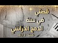 479 قصتي في سنة الدمج الدراسي 