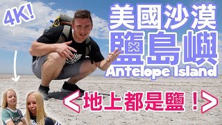 美國沙漠鹽島嶼 - 千萬不要游泳！Antelope Island - Great Salt Lake (4K) - Life in Taiwan #158