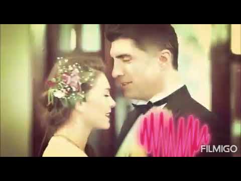 جامي ننسى العشق ليفات عشق ليفات عمره مامات 