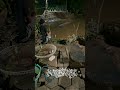 titik kumpul wong ngopi malam hari di #pembibitansawit #mancing #sawit #kebun #shorts #youtubeshorts