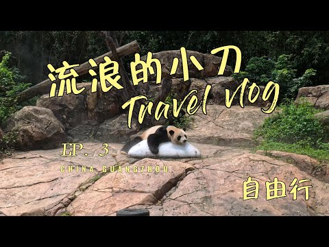 广州自由行（第三集） #旅游 #中国旅游 #广州旅游 #旅行 #旅行vlog #旅行推薦 #長隆野生動物世界 #流浪的小刀 #到此一游