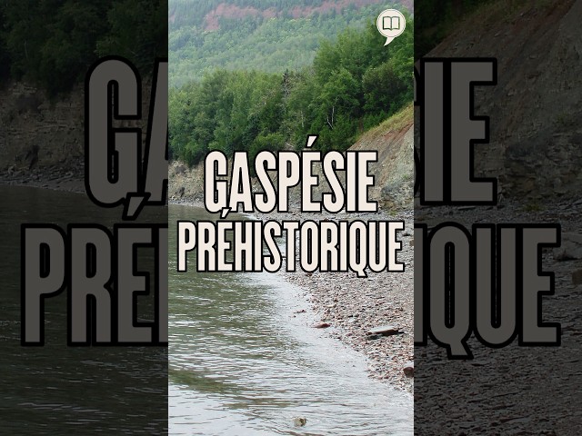 Gaspésie préhistorique: Miguasha ! | HNLD Short # 235 #shorts
