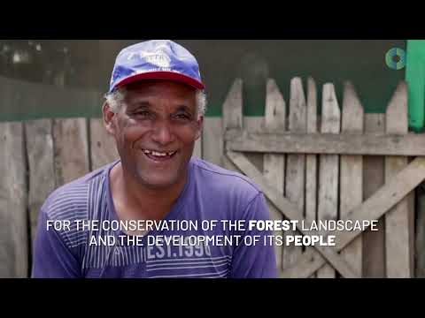 Amazon Sustainable Landscape Project - CI Brasil 2022