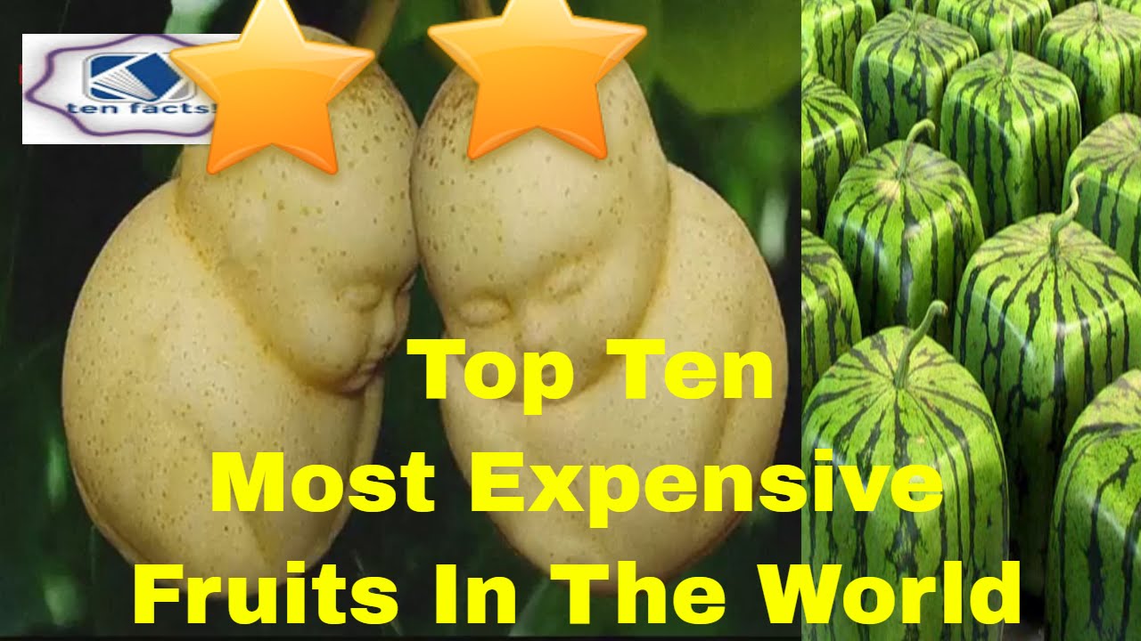 Top 10 Most Expensive Fruits In The World | Buddha Shaped Pears| Ten ...