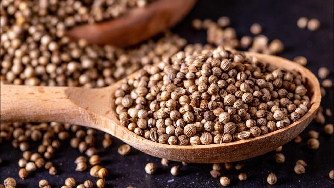Coriander Seeds Rich in Copper, Zinc, Iron, Manganese, Magnesium