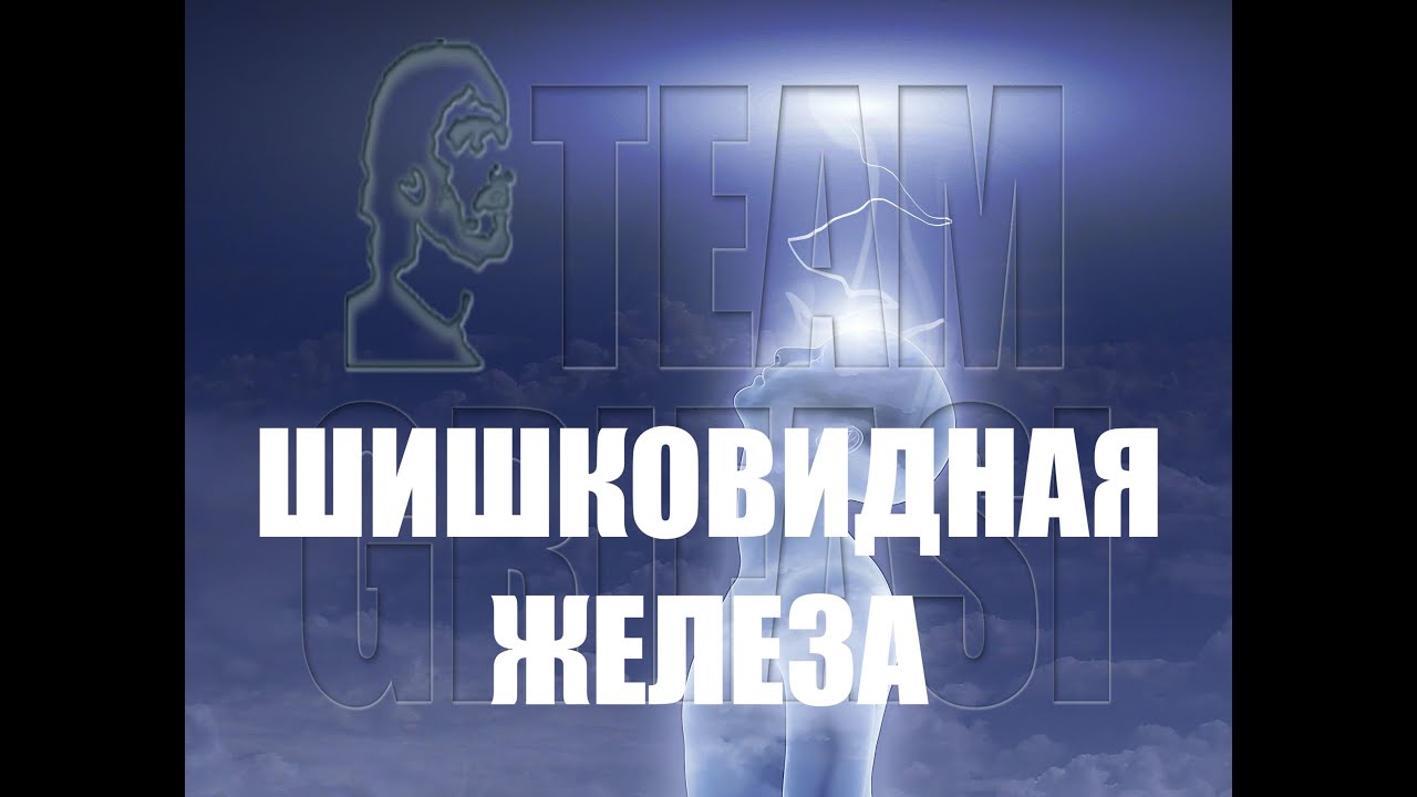 182 RU Евгения 64 Исследовательский Цикл 1 Yuliya Bilenka Team Grifasi