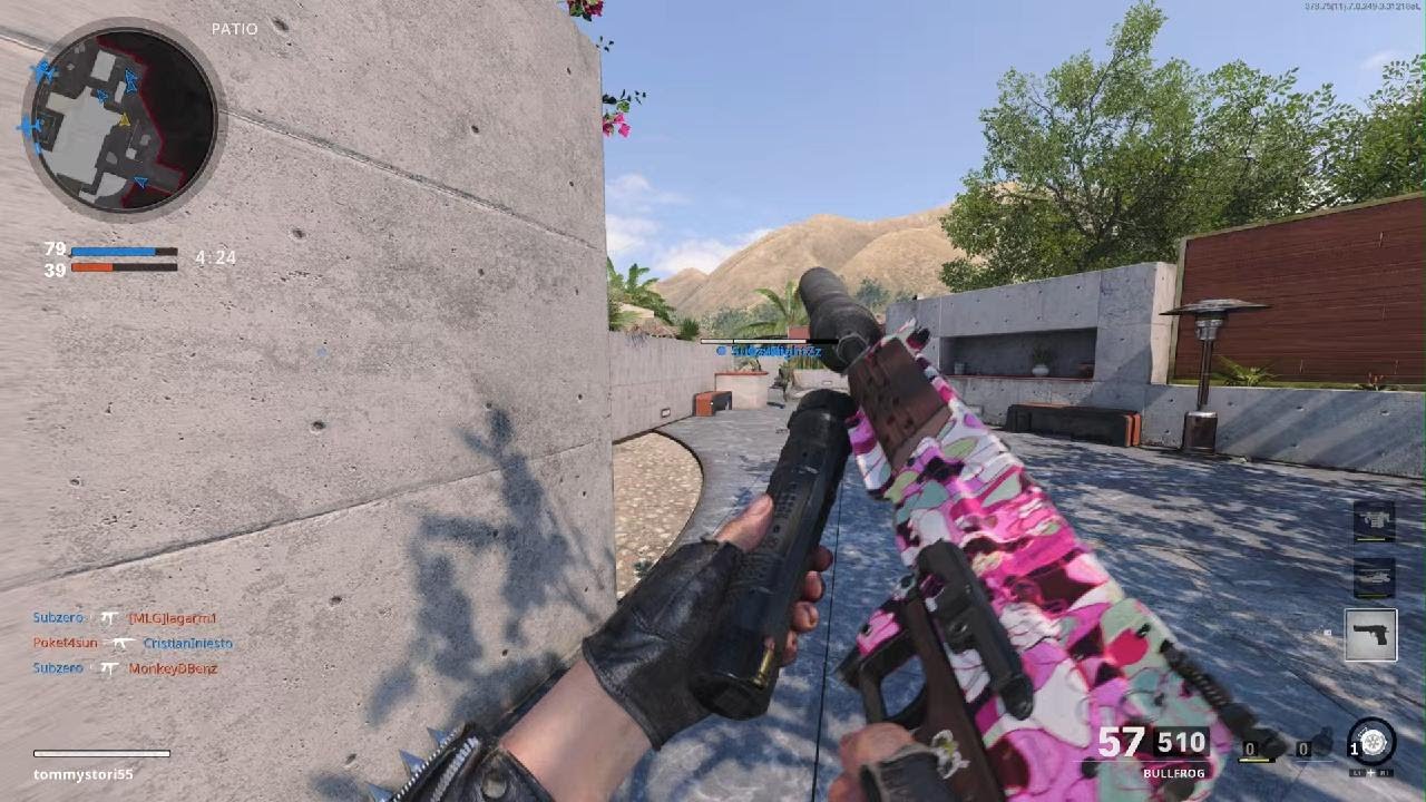 Call of Duty Black Ops Cold War bullfrog gameplay