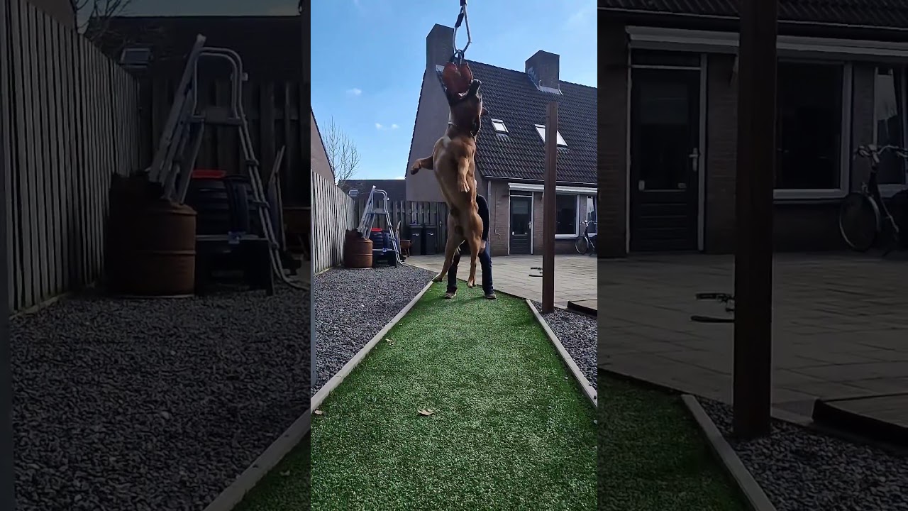 he is breaking springpol records..🙆🤯🙅