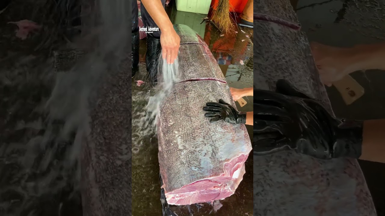 Snake or fish this massive meat cut shocks viewers 