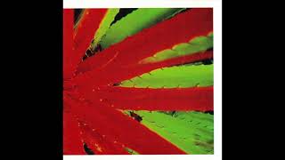 Jejune – This Afternoons Malady This Afternoons Malady – Numero Group