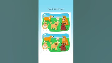 Find 6 Differences!!! #challenge #game #puzzle #shorts #shortvideo