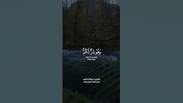 القارئ: عبد الله الخلف قرآن كريم حالات واتس اب دينية 💛