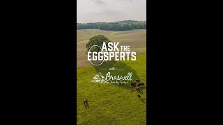 Ask The Eggsperts Preserving Farmland And Nc Rural Communities