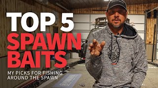 TOP 5 Baits for fishing around the SPAWN