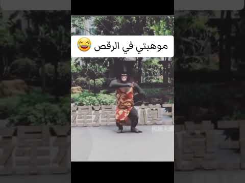 انا مش فاتحها سداح مداح لازم يكون معاك مفتاح