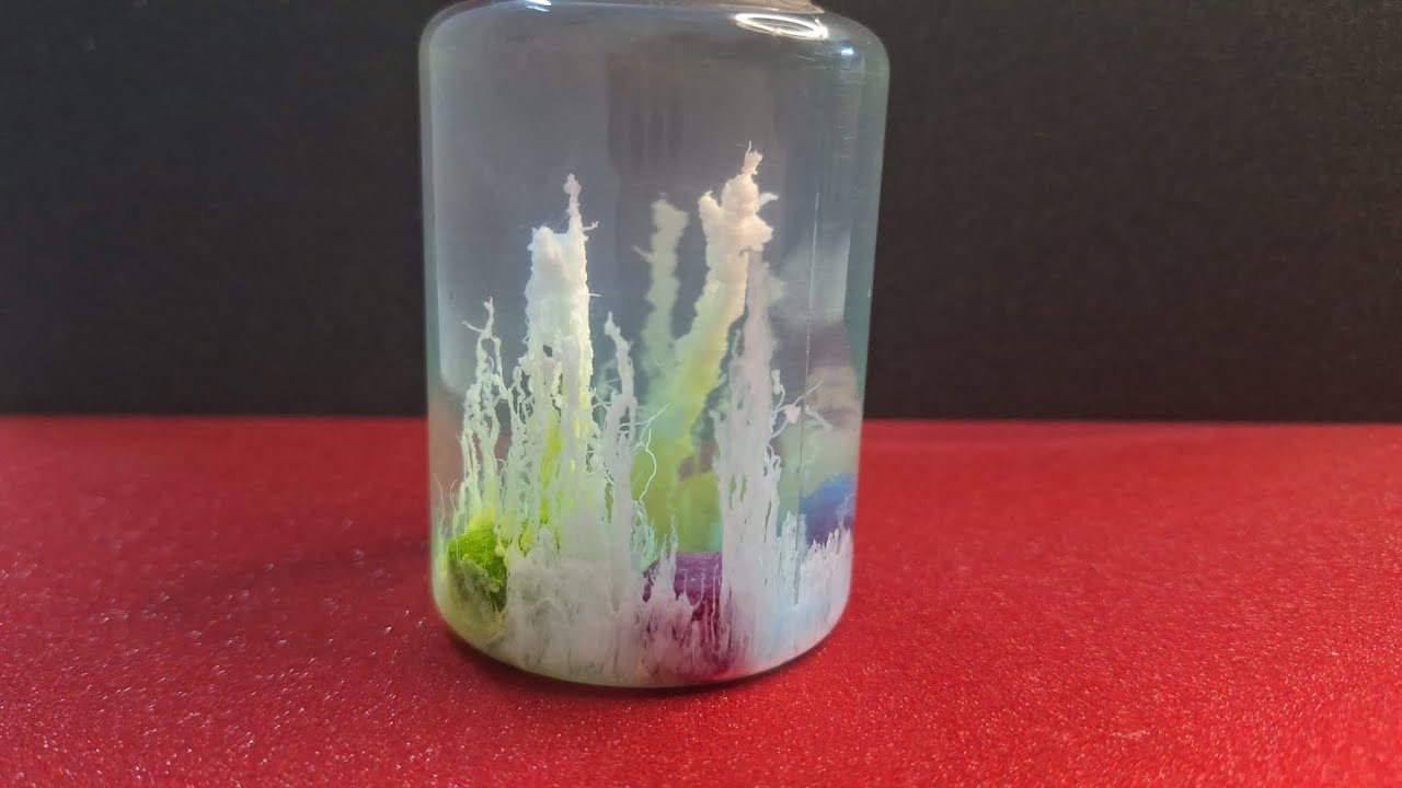 Magic floating garden in the jar 