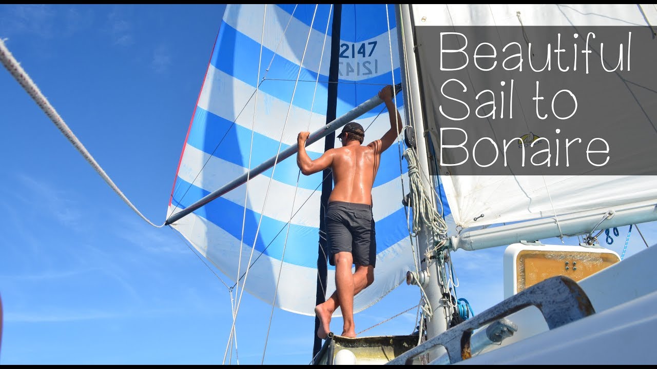 Beautiful Sail to Bonaire — Sailing Uma [Step 95]