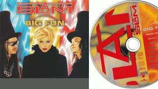 SLAM - Big Fun (CD, Maxi Single, 1996)