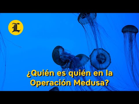 ¿Quién es quién en el caso Operación Medusa?