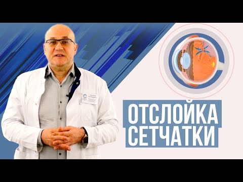 Видео: Бывают ли у собак отслойки сетчатки?