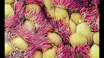 Study on the Entropy Production of a Nonequilibrium Open System