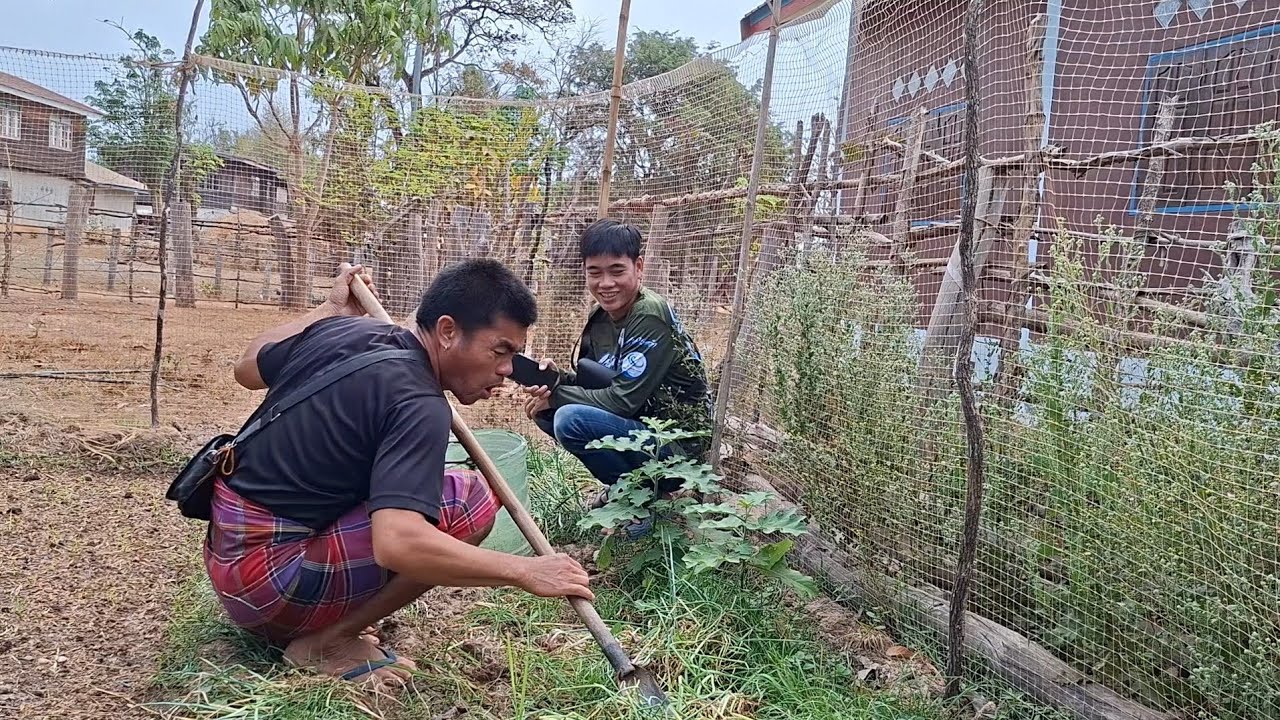 ก้นหัวผักหนีฝนจ้าพี่น้อง