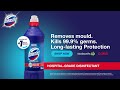 Remove mould with domestos thick bleach