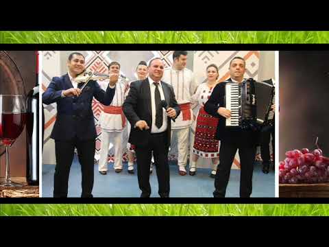 UNIVERS DIN MIZIL 2018 PROGRAM MUZICA DE PETRECERE NOU