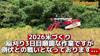 2026米づくり稲刈り3日目順調な作業ですが倒伏との戦いとなっております... @ufochannel777sadoagri  この乾燥機からセイロへ上げます Shorts 農業 佐渡 農家 米作り 仕事 作業 田舎 田舎暮らし