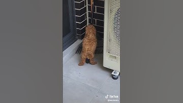 Join Kaisar ZeroNode mining and earnReward: Points, everyday#Kaisar #ZeroNode #KaisarNetwork