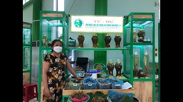 PHIÊN CHỢ SÂM NGỌC LINH THÁNG 5.2022 II CƠ SỞ TƯ DỰ