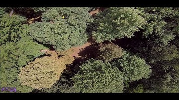 RF1 RC18 - Maiden - Beerotor FaBa 2207 2780KV - 1440p