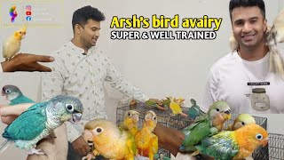 Arsh's birds for your Home ! self train(84337 73858) #birdlovers #pets