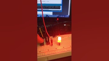 Lesson 5: Digital Inputs