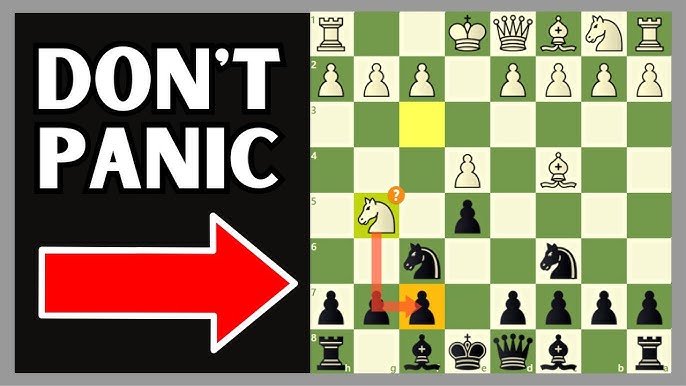 The Bishops Bounty: Two Knights Defence - Fried Liver Attack (C57) - Chess  Opening Theory