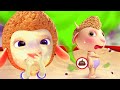 Toddler Tommy Needs A Diaper Change | Cartoon for Kids | Dolly and Friends