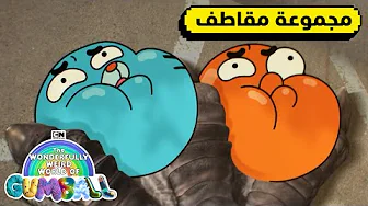 أطرف لحظات غامبول و داروين | غامبول | كرتون نتورك