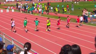Finales 50  metros planos 4ª fecha Copa de Atletismo Escolar