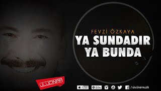 Fevzi Özkaya - Kara Köprü Resimi