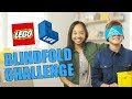 LEGO Life Blindfold Challenge - The Build Zone
