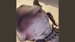 Wait 4 U